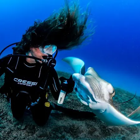 公寓 Mundo House, Playa San Marcos, Tenerife *