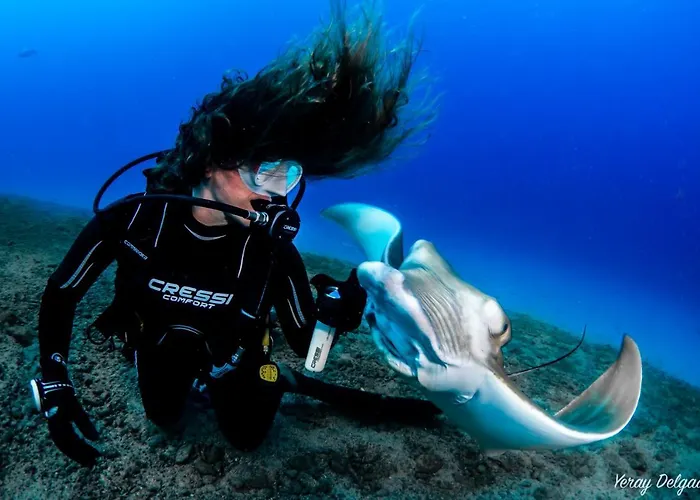 Appartement Mundo House, Playa San Marcos, Tenerife *